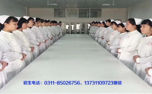 护士要求是什?jpg