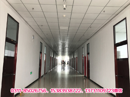 L(fng)们宿舍走廊图?jpg