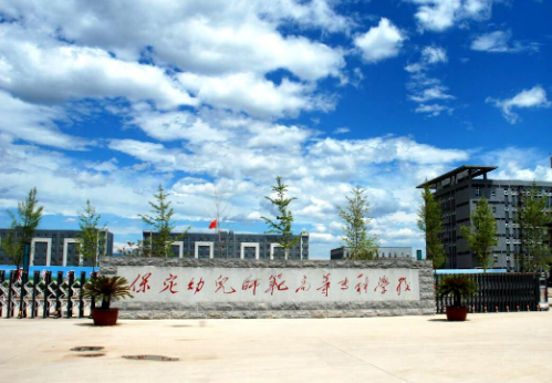 保定幼兒師范高等?？茖W(xué)校.png